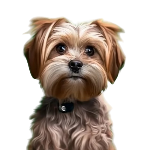 White Sherpa Polar fleece blanket Double layer 60x80 DAD